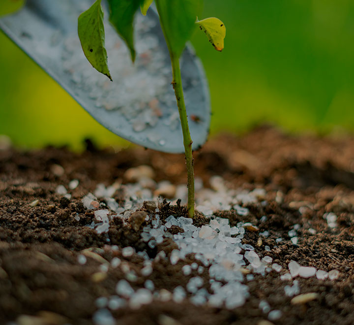 Fertilizantes Granulados